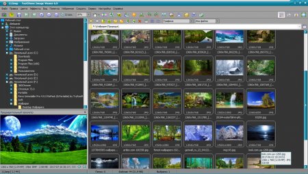 Faststone Image Viewer v7.5